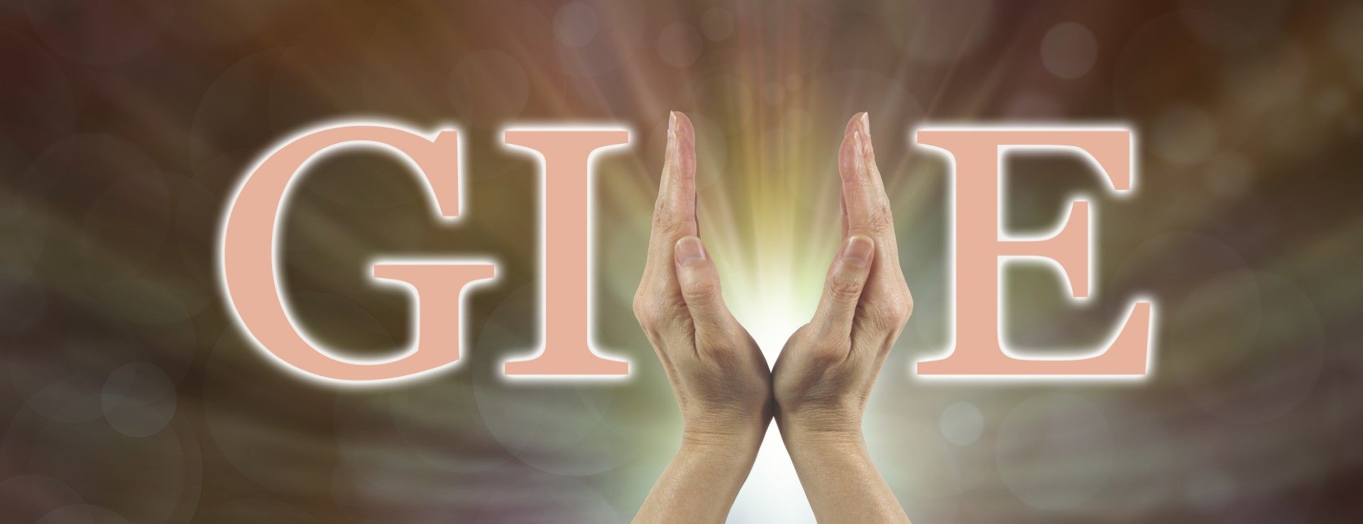 Stewardship from the Donor