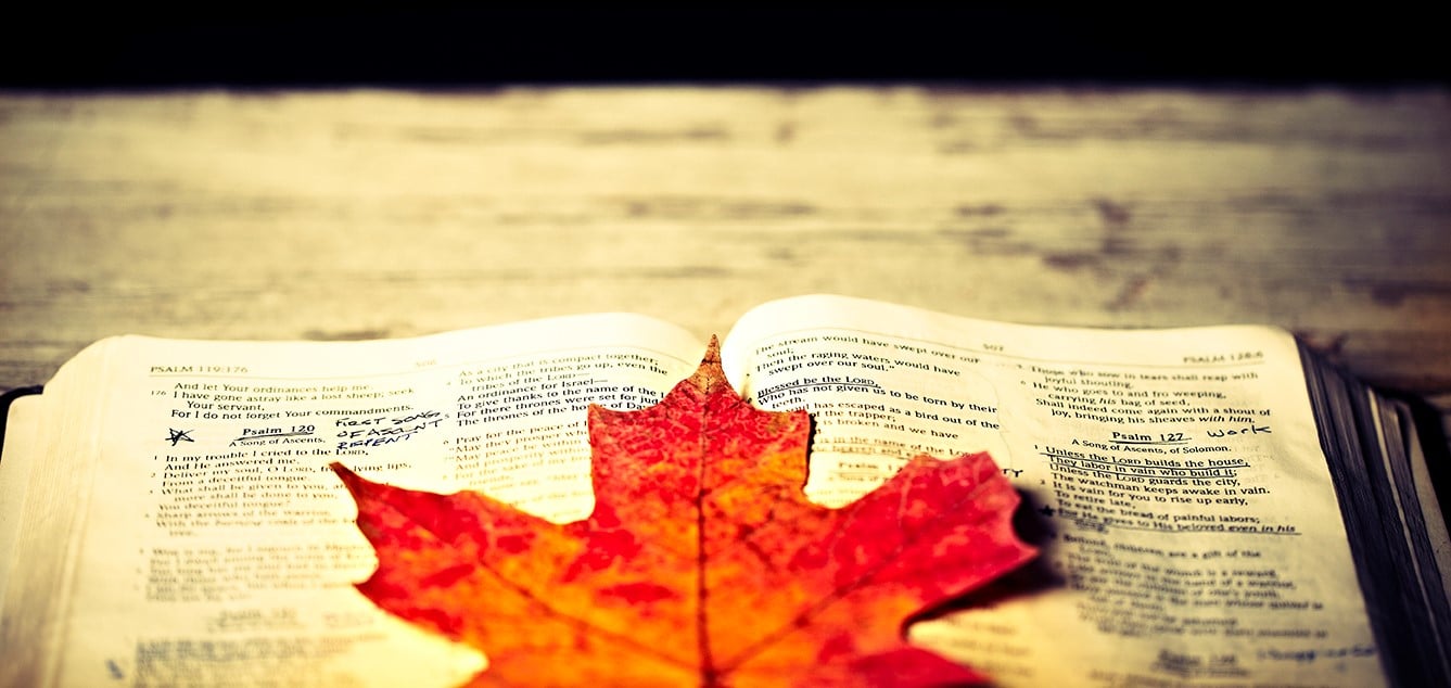 5 Ways to Encourage Your Church to Give Generously This Fall