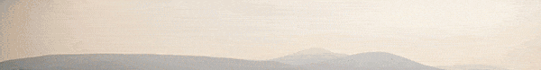 Linear Mission Banner