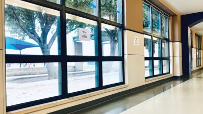 Security Film: Fact and Fiction